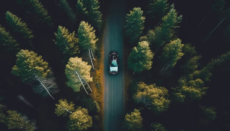 car-rides-road-among-forest-top-view.jpg